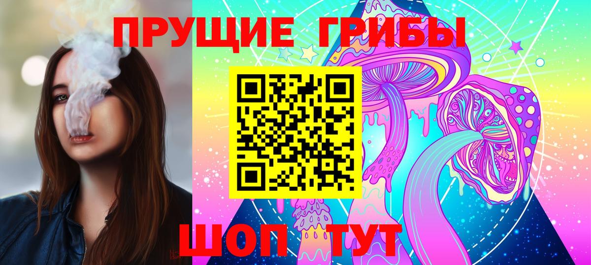 Псилоцибиновые грибы GOLDEN TEACHER Северск